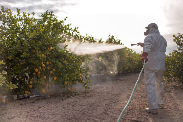 Best Pest Control Near Me in Casselberry, FL