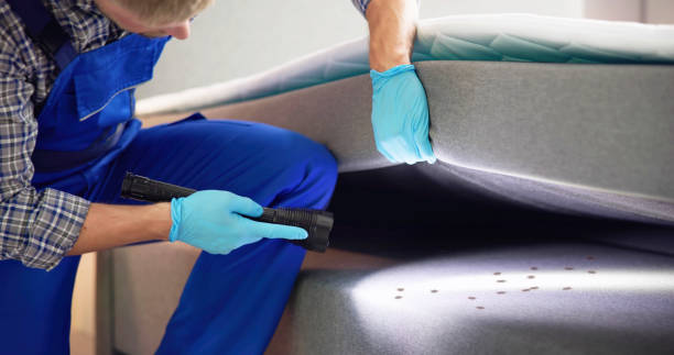 Best Pest Removal Services  in Casselberry, FL
