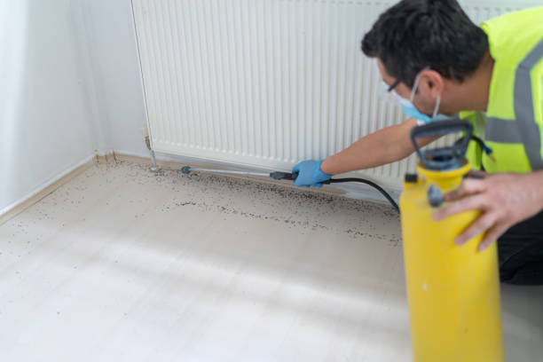 Pest Control for Restaurants in Casselberry, FL