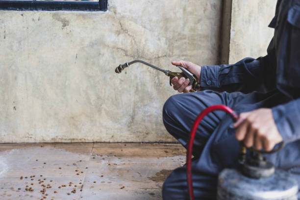 Best Pest Inspection Near Me  in Casselberry, FL